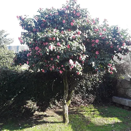 Βίλα Casa Pontevella