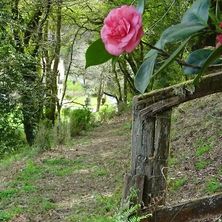 Βίλα Casa Pontevella Amés