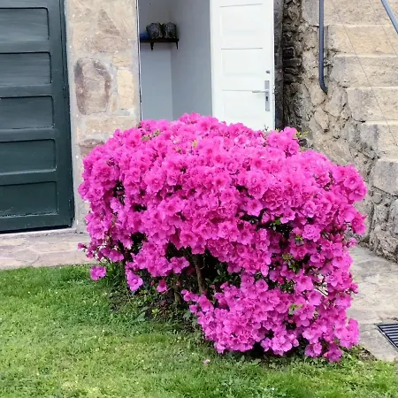 Casa Pontevella * Amés
